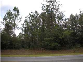 0 P J ADAMS PKWY, CRESTVIEW, FL 32536 (MLS # 448427)