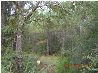 XXXX COUNTY LINE RD, PAXTON, FL 32422 (MLS # 524741)