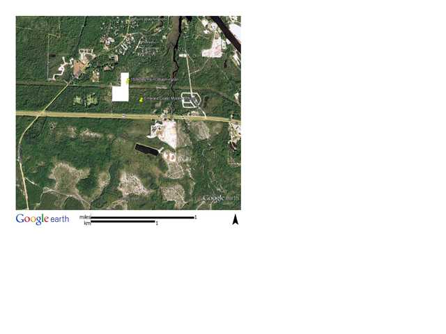 15 AC HWY 98 E, POINT WASHINGTON, FL 32459 (MLS # 571216)