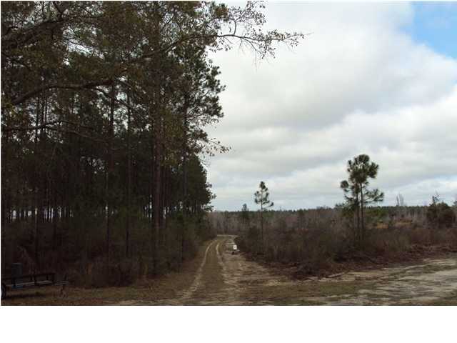 0000 BEAR BAY FLATS RD, PAXTON, FL 32464 (MLS # 571425)