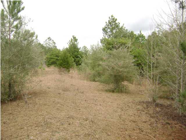 321 CO RD 10, SEE REMARKS, FL SEE REMARK (MLS # 572658)