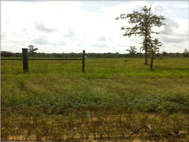 10 ACRES HWY 393, CRESTVIEW, FL 32539 (MLS # 576755)