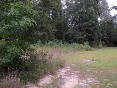 LOT 2 ANTIOCH RD, CRESTVIEW, FL 32536 (MLS # 578132)