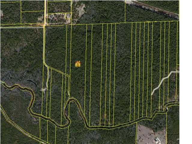 20.2 AC EAGLE'S WAY, MOSSY HEAD, FL 32434 (MLS # 587116)