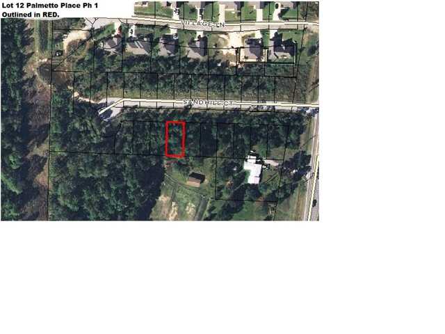 LOT 12 PALMETTO PL, FREEPORT, FL 32439 (MLS # 588034)