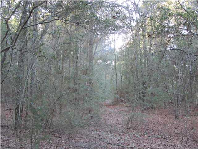 N/A CO. RD 10A, ARGYLE, FL 32433 (MLS # 588223)