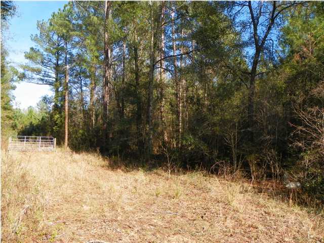 1093 WORKS WAY, CARYVILLE, FL 32427 (MLS # 588726)