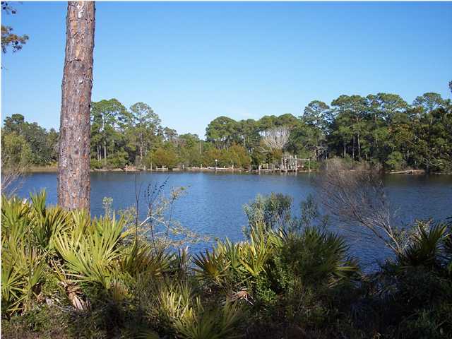 LOT  1 & 2 E. WILD BRIAR ROAD, SANTA ROSA BEACH, FL 32459 (MLS # 589528)