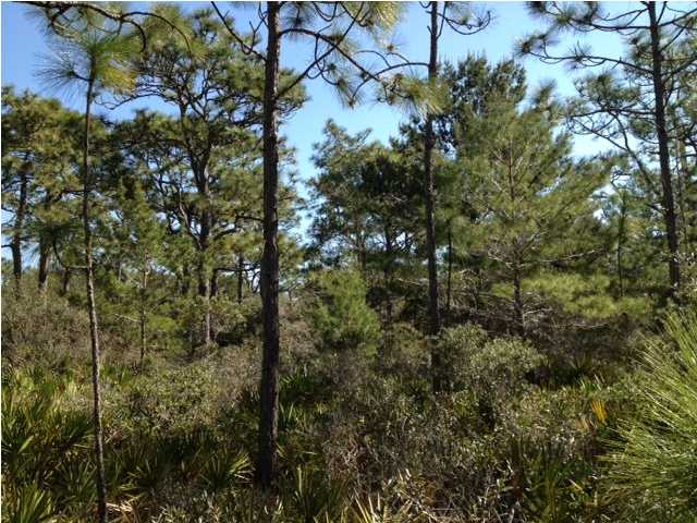 LOT 23 BARCELONA AVE, SANTA ROSA BEACH, FL 32459 (MLS # 592731)