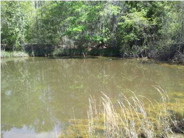 9379 HWY 83, DEFUNIAK SPRINGS, FL 32433 (MLS # 594662)