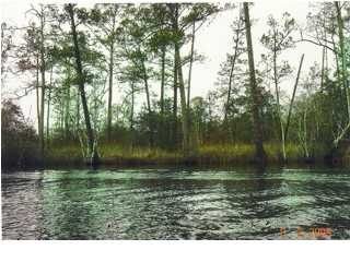 V/L STATE HIGHWAY 20 W, FREEPORT, FL 32439 (MLS # 594681)