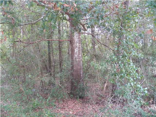 000 BROOKSIDE DR, DEFUNIAK SPRINGS, FL 32433 (MLS # 597398)