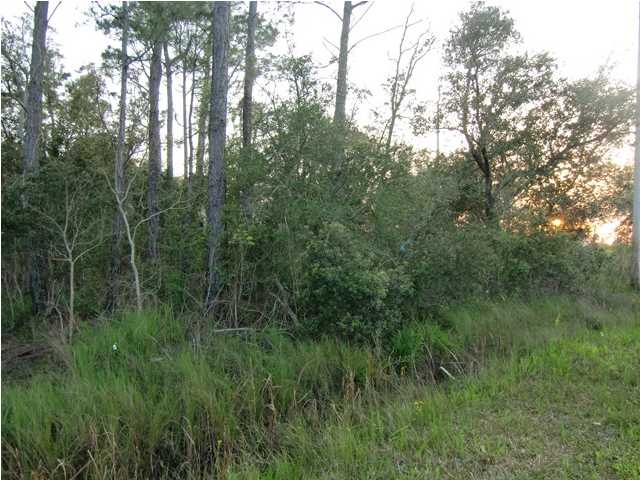 LOT 49 CHAT HOLLY RD, SANTA ROSA BEACH, FL 32459 (MLS # 598600)