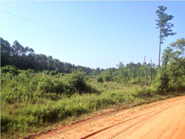 VACANT SHOCKLEY SPRINGS RD, BAKER, FL 32531 (MLS # 598692)