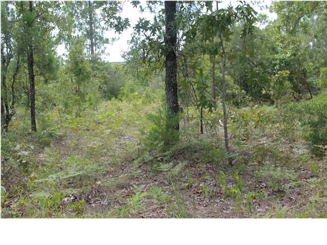 XX KIDD RD, DEFUNIAK SPRINGS, FL 32433 (MLS # 600915)