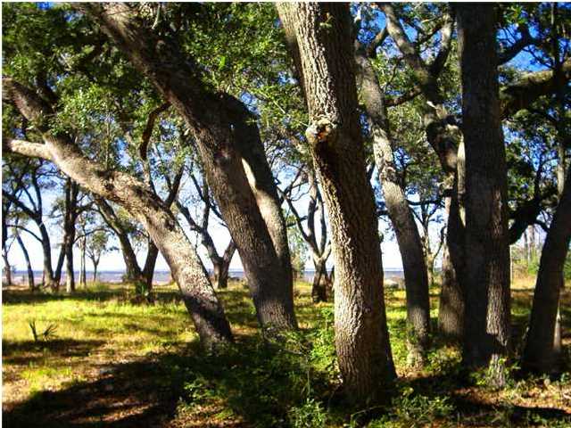 1.61 ACRES DRIFTWOOD POINT RD, SANTA ROSA BEACH, FL 32459 (MLS # 602176)