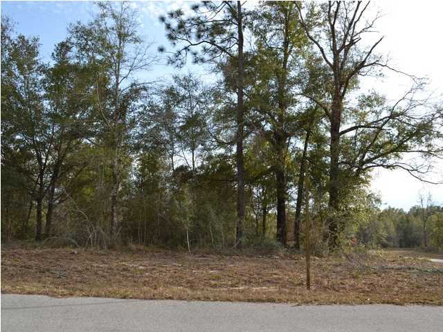 1 000 GAP BOULEVARD, CHIPLEY, FL 32428 (MLS # 606269)