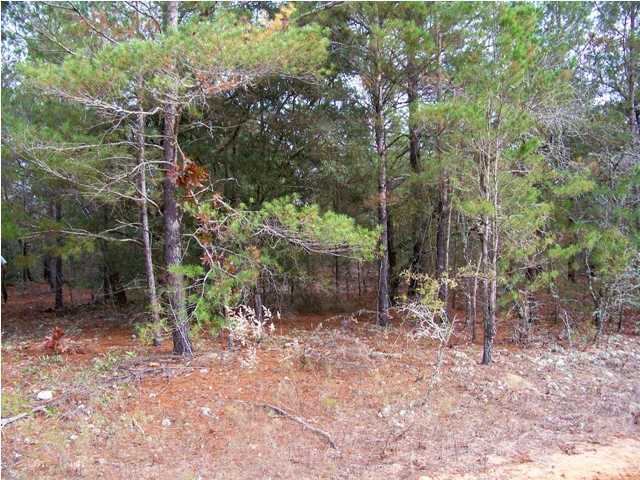 LOT 5 HAMLET DR, DEFUNIAK SPRINGS, FL 32433 (MLS # 608464)