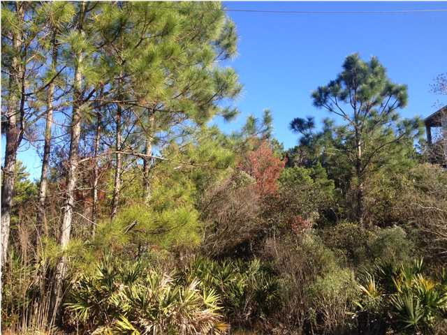 LOT 2 BROWN ST, SANTA ROSA BEACH, FL 32459 (MLS # 609640)