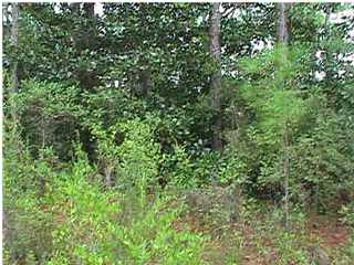 1 LOT SPARKLEBERRY LN, FREEPORT, FL 32439 (MLS # 609709)