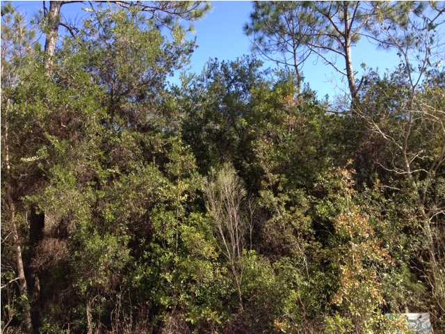 LOT 14 ELM ST, SANTA ROSA BEACH, FL 32459 (MLS # 612547)